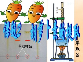 2016-2017学年人教版选修1 胡萝卜素的提取 课件 (60张)