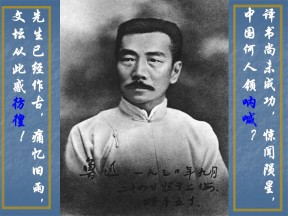 2018-2019学年鲁人版必修三《记念刘和珍君》课件（63张）