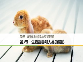 2018-2019学年 北师大版选修3  生物技术的安全性和伦理问题第2节生物武器对人类的威胁 课件