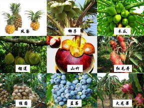 2016-2017学年湘教版必修二：3.4交通运输布局及其对区域发展的影响 课件（31张）