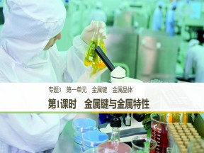 2018-2019学年苏教版选修3 专题3  第一单元  第1课时 金属键与金属特性 课件（23张）