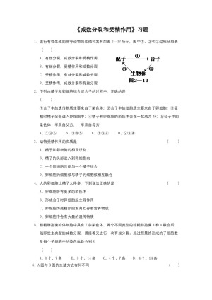 2018-2019学年人教版必修2  减数分裂和受精作用      作业