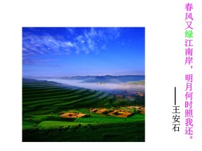 2018-2019学年人教版必修2：第3课 囚绿记 课件1(共26页)