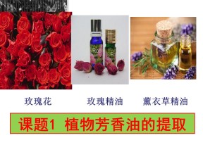 2018-2019学年 人教版选修3 植物芳香油的提取  课件(34张)