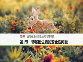 2018-2019学年 北师大版选修3  生物技术的安全性和伦理问题第1节转基因生物的安全性问题 课件