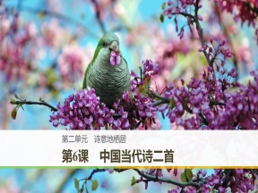 2018-2019学年语文版必修一 中国当代诗二首 课件（48张）