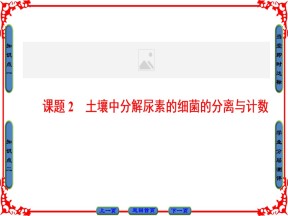 2018-2019学年人教版选修1 专题2 课题2 土壤中分解尿素的细菌的分离与计数 课件（45张）