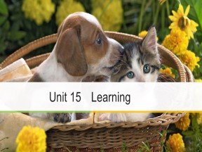 2018-2019学年北师大版高二英语必修5新导学同步课件：Unit 15 Period Six