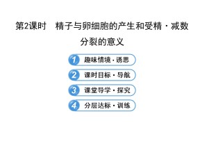 2015-2016学年浙科版必修二减数分裂中染色体的行为第2课时课件（36张）