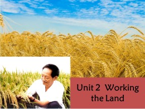 2019-2020学年人教版高中英语必修4同课异构课件：Unit 2 单元小结 同课异构（3）