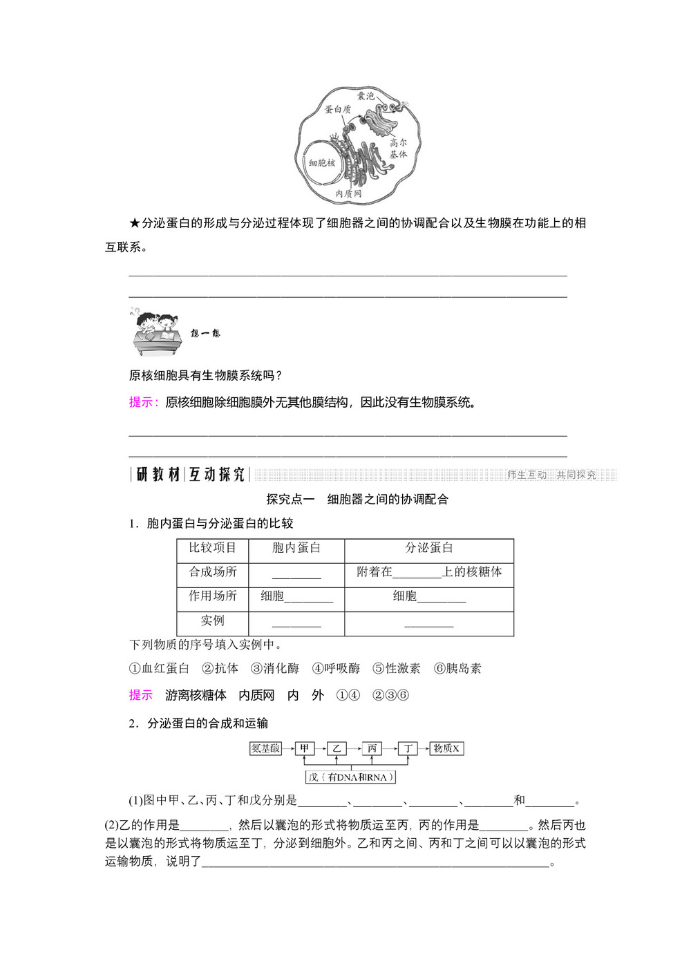 2018-2019学年人教版必修一 3.2.2 细胞器之间的协调配合和细胞的生物膜系统 学案第3页