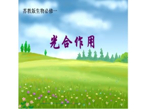 2018-2019学年苏教版必修1  第2节光合作用 课件(18张)