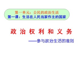 2018—2019学年高二政治人教版必修2  第一课  第二框  政治权利与义务：参与政治生活的基础    （24张）