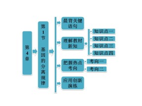2018-2019学年北师大版必修2 第4章 第1节 基因的分离规律 课件（67张）