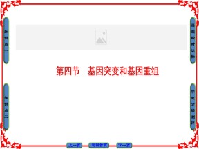 2016-2017学年苏教版必修二 基因突变和基因重组 课件（57张）