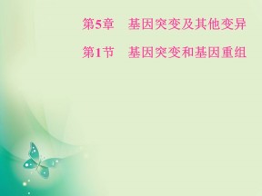 2018-2019学年人教版必修2 第5章第1节基因突变和基因重组 课件（53张）
