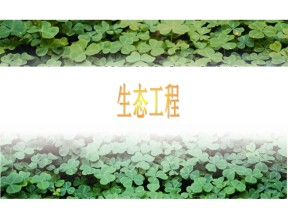 2016-2017学年苏教版选修三生态工程实例 课件（27张）