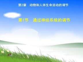 2018-2019学年人教版必修三 通过神经系统的调节 课件(92张)