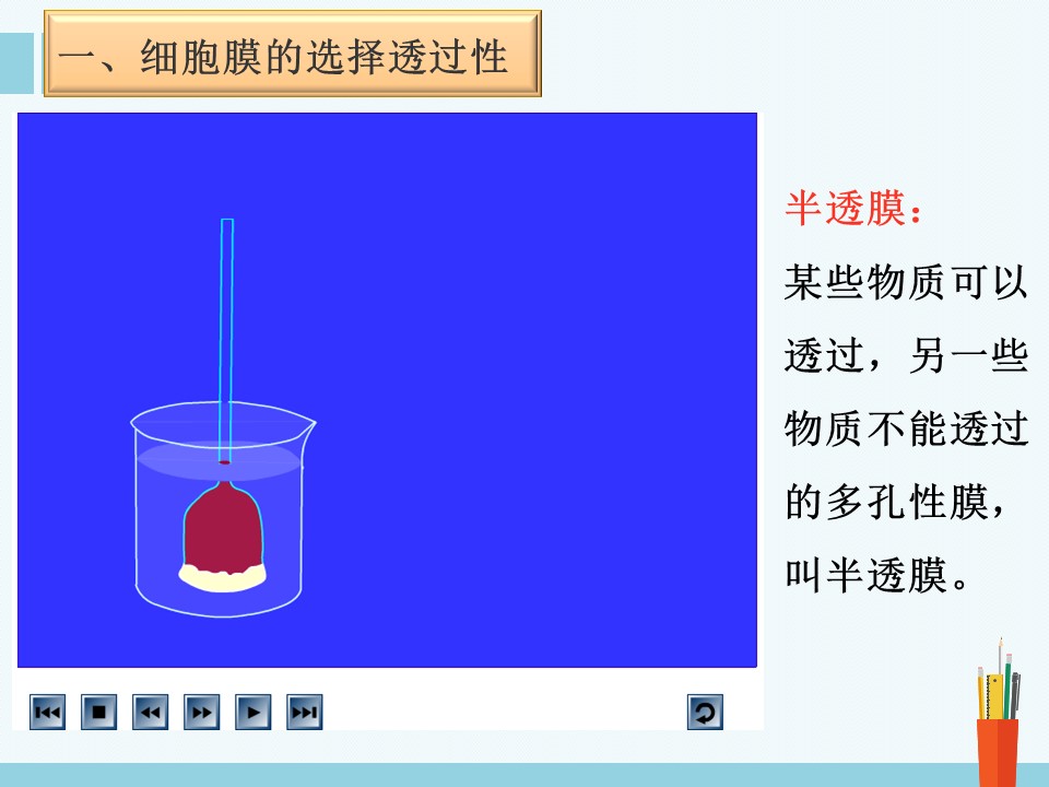 2018-2019学年北师大版必修1 4.2 细胞内外的物质交换 课件（25张）第2页