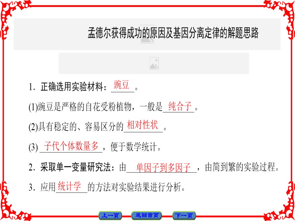 2016-2017学年苏教版必修二 孟德尔获得成功的原因、基因的分离定律的应用 课件（38张）第3页