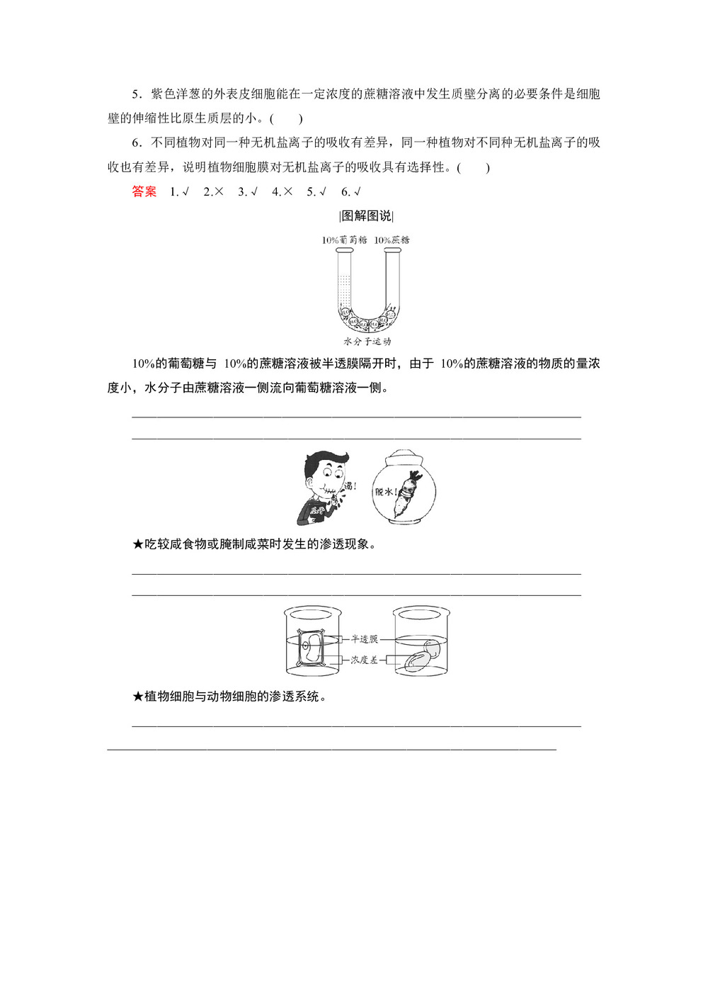 2018-2019学年人教版必修一 4.1 物质跨膜运输的实例 学案第3页