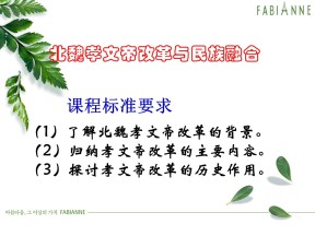 2018-2019学年岳麓版选修一 2.5 北魏孝文帝改革与民族融合 课件(共41张)