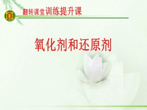 2018-2019学年鲁科版必修1 第2章第3节 氧化剂和还原剂 课件（21张）