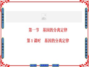 2016-2017学年苏教版必修二 基因的分离定律 课件（46张）