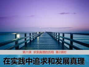 2018——2019学年高二政治人教版必修4  6.2在实践中追求和发展真理课件（21张）
