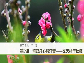 2018-2019学年粤教版必修一 留取丹心照汗青-文天祥千秋祭 课件（53张）
