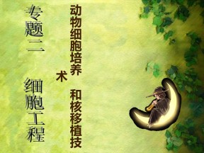 2016-2017学年人教版选修三 动物细胞培养和核移植技术  课件（30张）