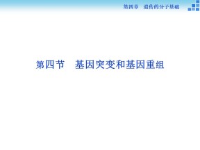 2018-2019学年苏教版必修2 第四章第四节基因突变和基因重组 课件（58张）