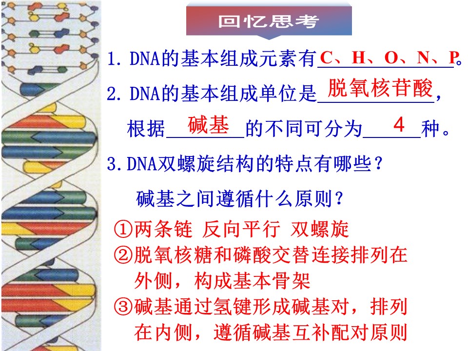 2018-2019学年 人教版必修2 DNA的复制 课件（29张）第2页