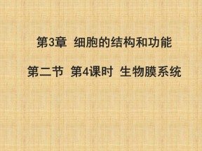 2017-2018学年苏教版必修一 3.2.4生物膜系统  课件（22张）