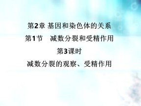 2018-2019学年人教版必修2  2.1.3 减数分裂的观察、受精作用 课件（25张）