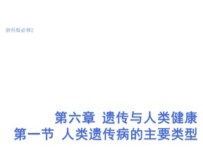 2016-2017学年 浙科版 必修2 人类遗传病的主要类型 课件（29张）