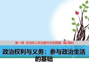 2018——2019学年高一政治人教版必修二1.2政治权利与义务：参与政治生活的基础课件6（27张）