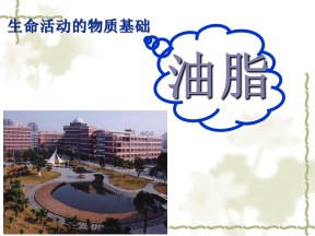 2015-2016学年苏教版选修5  糖类_油脂（第2课时） 课件 （16张）