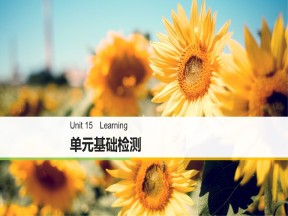 2018-2019学年北师大版高二英语必修5新导学同步课件：Unit 15 单元基础检测