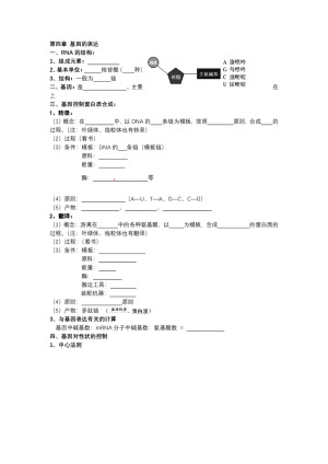 2018-2019学年人教版必修二第四章基因的表达 学案