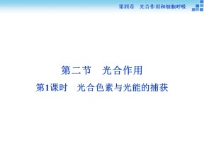 2018-2019学年苏教案必修一  第四章第二节第1讲光合色素与光能的捕获 课件（39张）