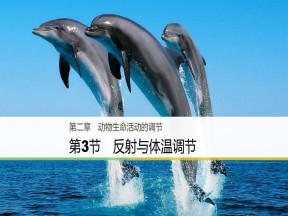 2018-2019学年浙科版必修三  第二章 第3节　反射与体温调节 课件（35张）