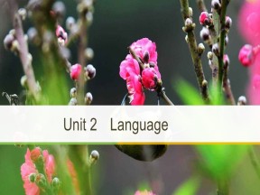 2019届高考英语译林版必修核心考点探究课件：Unit 2 Period Two