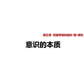 2018——2019学年高二政治人教版必修4  5.1意识的本质 课件11（30张）