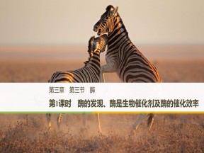 2018-2019学年浙科版必修一  第三章 第三节 第1课时 酶的发现、酶是生物催化剂及酶的催化效率 课件（36张）