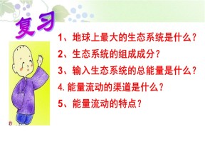 2018-2019学年人教版必修三 生态系统的物质循环 课件 (27张)