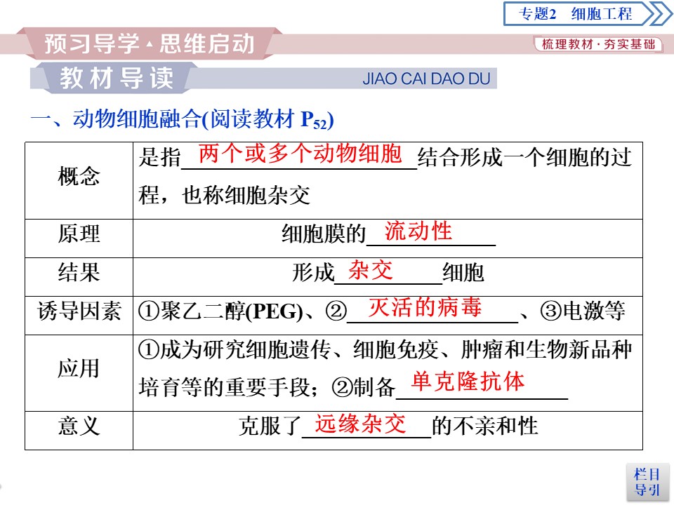 2018-2019学年人教版选修三  2．2　2．2.2　动物细胞融合与单克隆抗体 课件（31张）第3页