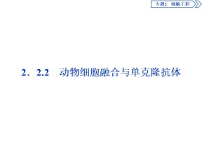 2018-2019学年人教版选修三  2．2　2．2.2　动物细胞融合与单克隆抗体 课件（31张）