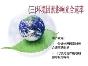 2018-2019学年浙科版必修1 光合作用  课件 (21张)