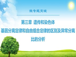 2018-2019学年新苏教版必修2 第3章 微专题突破 基因分离定律和自由组合定律的区别及异常分离比的分析 课件（23张）